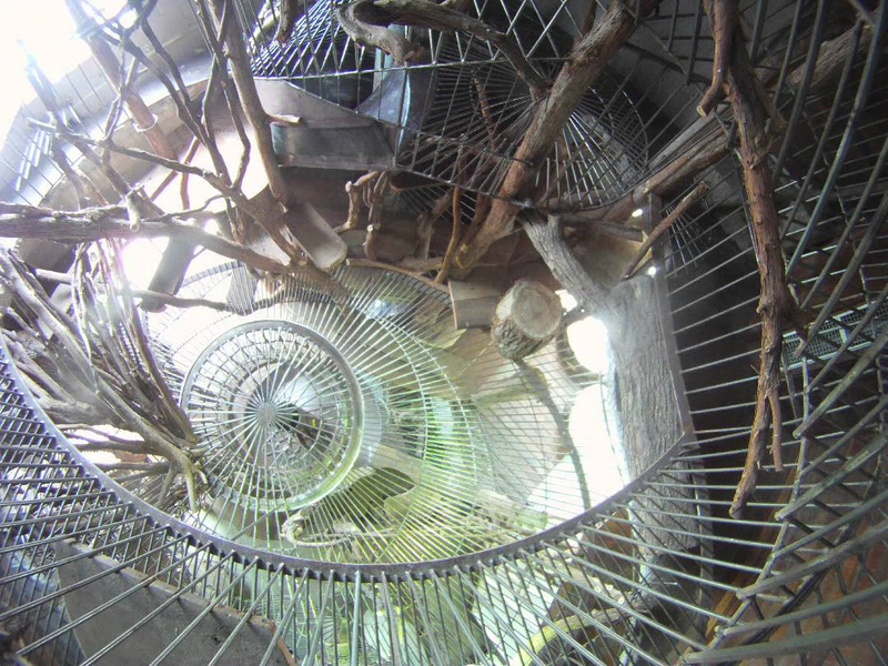 Illustration for article titled The City Museum: a Terry Gilliam-esque adventure playground in the heart of St. Louis